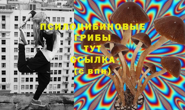 дурь Богородицк